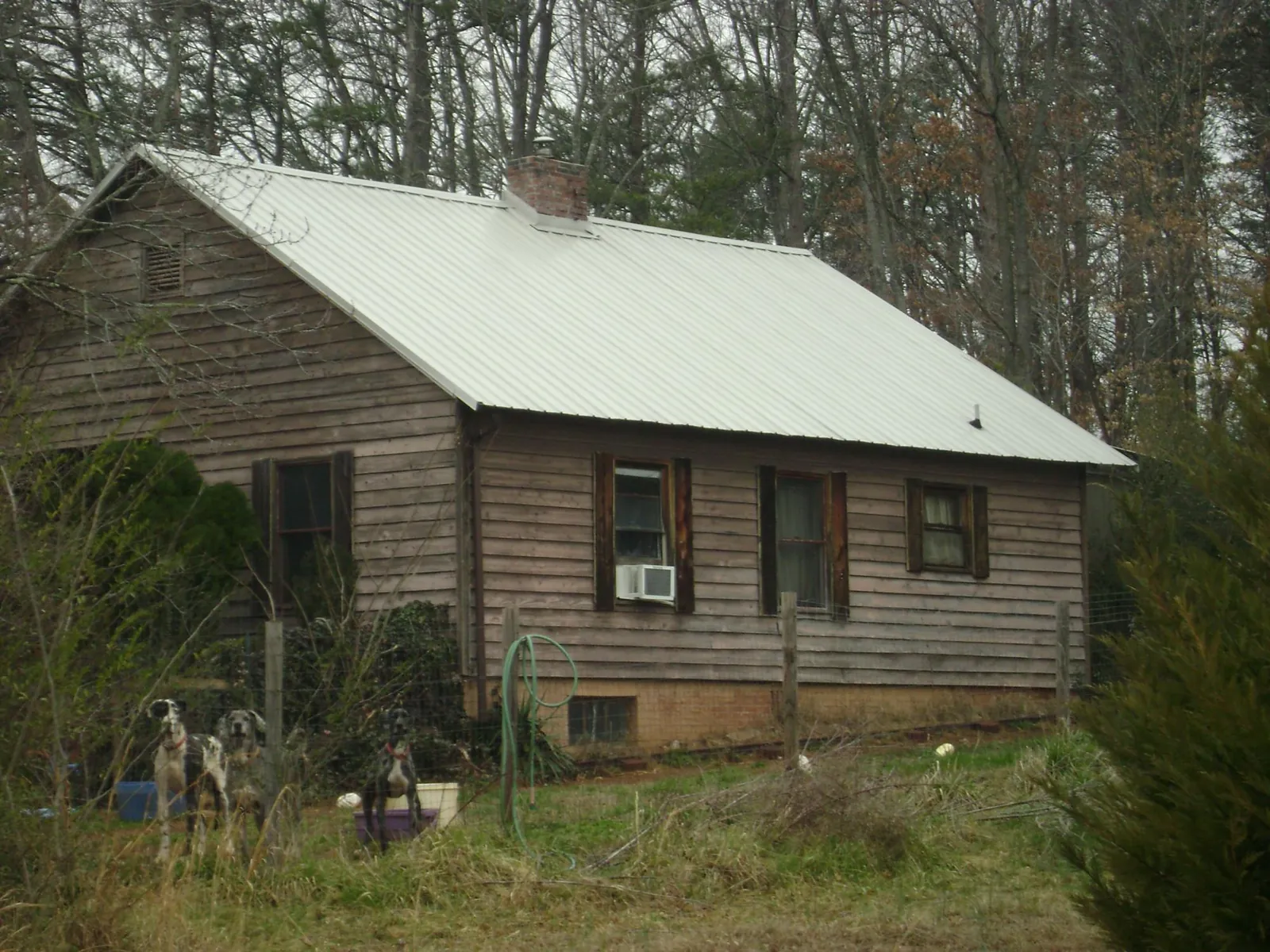 White metal roof on an old wood sided farmhouse, from a Asphalt Shingle Roof Repair job in Cedar Crest